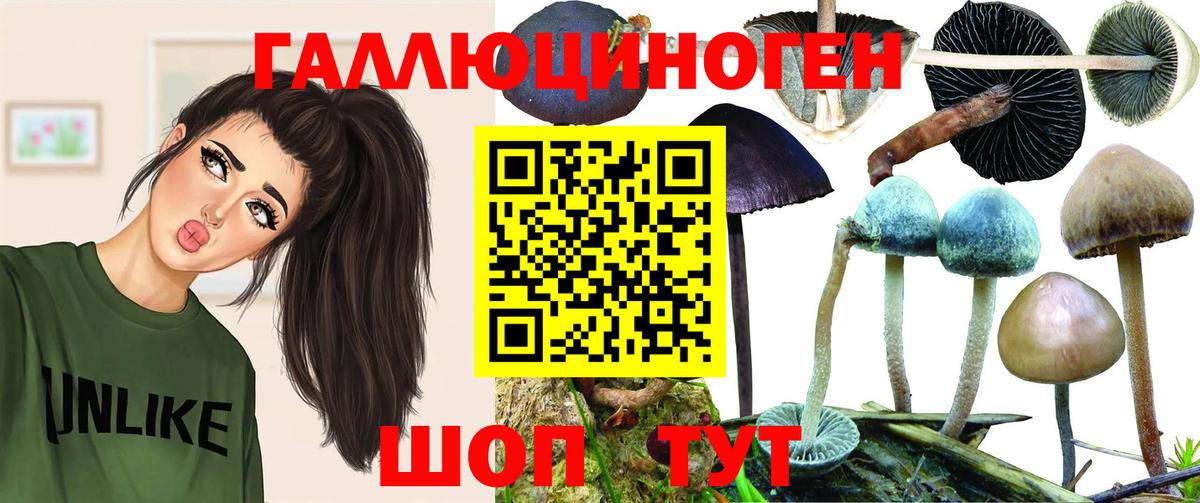 Азнакаево  Галлюциногенные грибы Psilocybine cubensis  Вход с VPN  Галлюциногенные грибы Psilocybe 